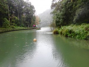 原始自然 〜 福山植物園
