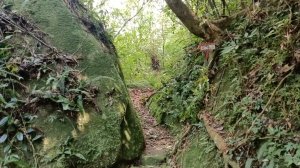 萬里區石門嶺古道(保甲路)-溪畔小徑-雙溪溝古道