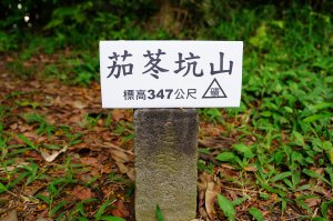 桃園-三峽 十三分山、金面山、金山面山、山麻坑山、茄苳坑山、阿屘尖