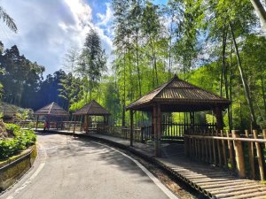 【石壁】五元二角連走木馬古道O繞