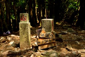羅山林道登油羅山