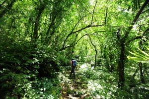 【新北市】想賴著不走&越慢越好：淡蘭古道中路 Part 1：崩山坑古道