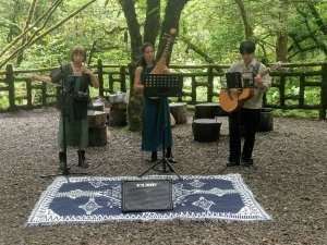 端午盛夏消暑「森林癒」，就在「拉拉山巨木音樂會-森之樂章」