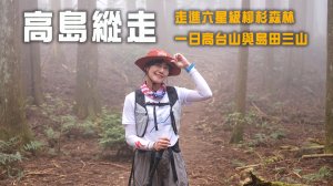 【高島縱走】走進六星級柳杉森林，一日高台山與島田三山