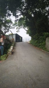 2025-0505 觀音山土路追桐花+牛港稜步道