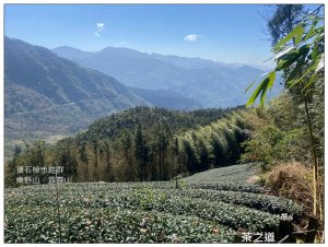 頂石棹步道群、樂野山、霹靂山 d型路線