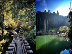 新阿溪縱走三天兩夜｜失落的林鐵眠月線、絕美仙境水漾森林、台灣十大最老眠月神木
