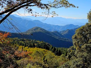 屋我尾山-谷關七雄 老三