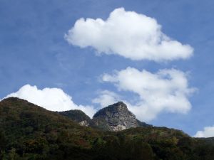 明知山有虎, 偏向虎山行