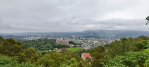 竹東森林公園步道+樹杞林山 O型-2026/05/10