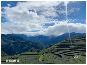 眉溪山茶園秘境