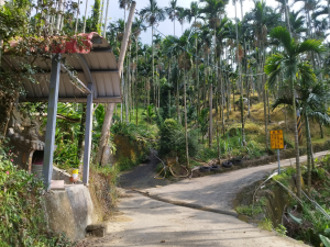[嘉義中埔][五]三界埔山、柚子宅山北、風櫃斗湖山