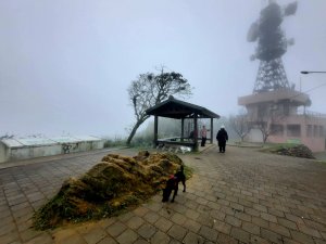2023/01/23 桃園大棟山(小百岳)，樹林大同山，青龍嶺