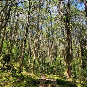 稍來山（小百岳）