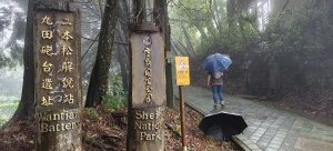 2025/05/11-丸田砲台遺址步道