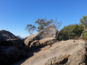 冬 / 冷冬暖陽石牛山