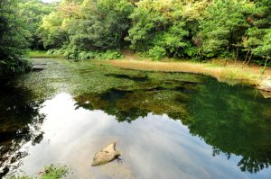 【新北市】我的秘密基地 汐止如意湖