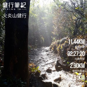 登山口到三角點在從原路下山，這是練腳力練滿的路程。