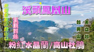 【溪頭鳳凰山】中部四大名山、#小百岳53、米堤登山口、台寅山、鳳凰山北嶺、天文台賞鳥步道O繞