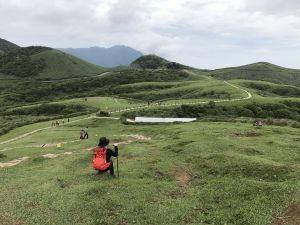 頂山石梯嶺上擎天崗