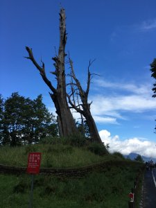 20160625_鹿林山