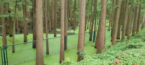 青山湖