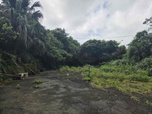 20260713跌死猴坑古道-瑞芳三小山
