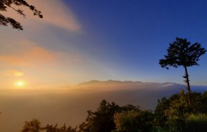 阿里山避暑放鬆遊(絕美日出 雲海 神木 珍禽 美食 咖啡)