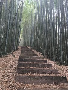 雲嘉大尖山