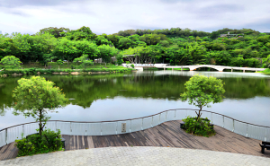 新竹高峰植物園，青草湖環湖步道