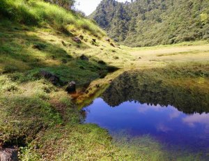 十七歲多變的少女～一年一會