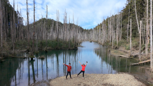 水漾森林、鹿屈山、眠月神木