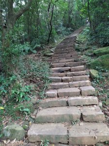 【山系野遊】舊地重遊-草嶺古道一日遊