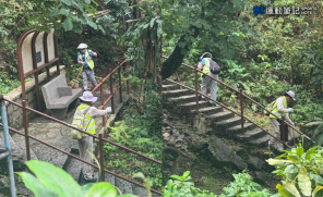 【話題】飛鵝山清潔工掃垃圾落山坡 食環署向承辦商扣減服務費