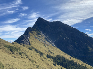 啟動高山渡假模式  奇萊主北三日遊