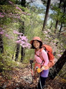 東卯山東南稜 德芙蘭 大O繞 偶遇埔里杜鵑盛開