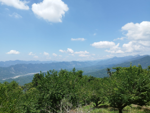 [高雄甲仙][一]甲仙埔山、西廍亭山(西廓亭山、西白雲山)、東阿里關山、匏子寮