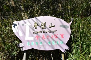 20260103司馬庫斯&魯壁山攀登