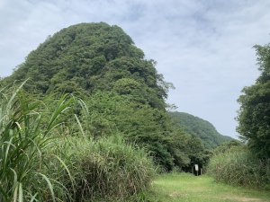 新店獅仔頭山到二叭子植物園