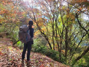 結界縱走三天(結城山、境界山) 五星松針營地 遠離塵囂秘境~2024跨年