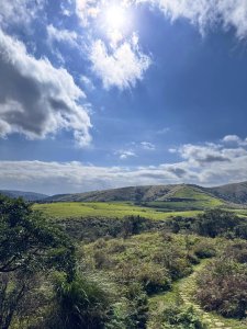 【台北】擎天崗