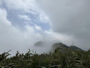 小觀音山小O型：霧中抺茶山與春日花朵點亮的岩徑