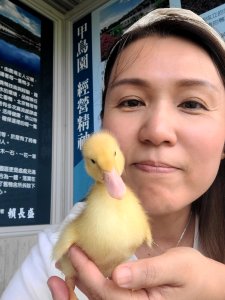 依宸
