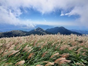 大屯秋芒，清天宮上大屯主峰，下竹子湖