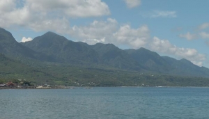 【環境】失去的杉原灣