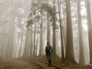 南投~特富野古道