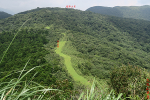 鹿崛坪越嶺古道、大尖茶行遺址、大尖山、鹿崛坪古道O型走