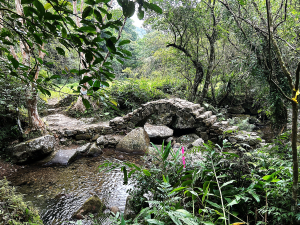 枋山坑古道：成王敗寇的土匪大道