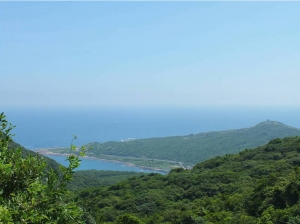 【新北市】福卯古道(嶐嶐古道)
