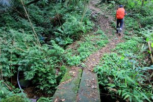崩山大崙-石碇大崙